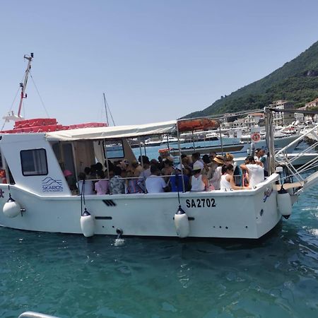 Nennella Cilento House Apartment Cuccaro Vetere Luaran gambar