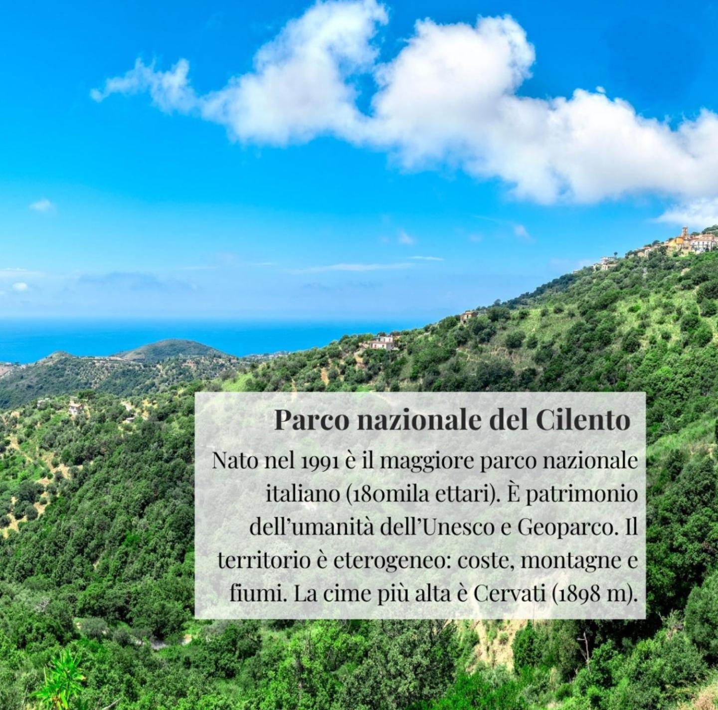 Nennella Cilento House Apartment Cuccaro Vetere Luaran gambar